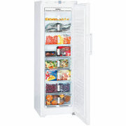 LIEBHERR GN 3056-21 NoFrost Gefrierschrank 60 cm breit