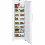 LIEBHERR GN 4113-20 NoFrost- Gefrierschrank 70 cm breit