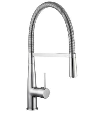 Pyramis Librata Einhebelmischer Flexbrause HD chrom 090914203 